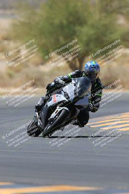 media/May-14-2023-SoCal Trackdays (Sun) [[024eb53b40]]/Turn 5 Tree of Life (1125am)/